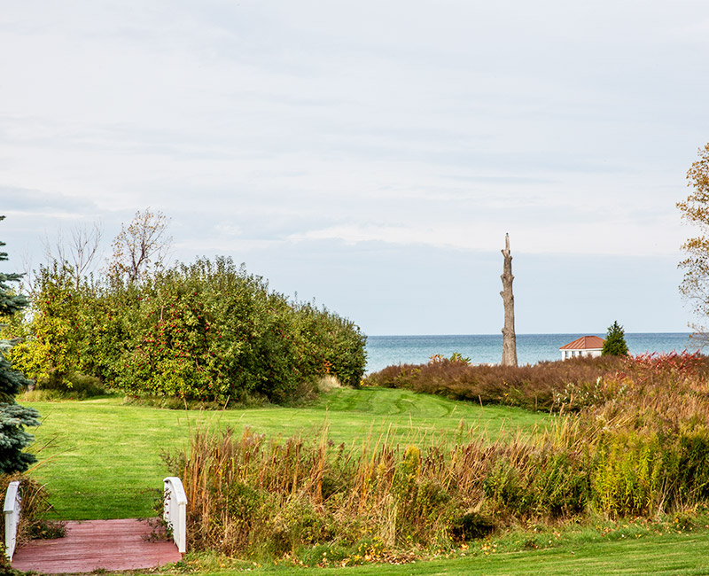 Locat Attractions Image